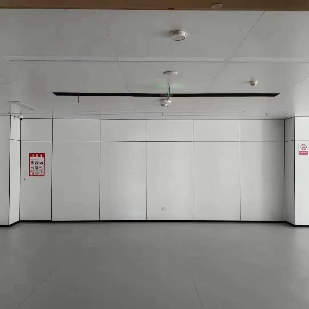 医疗洁菌冰火板4